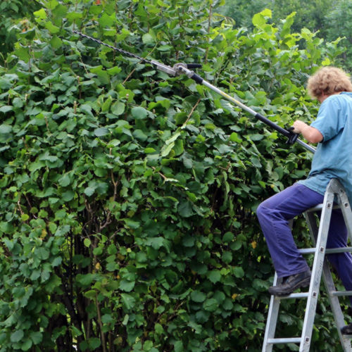 Gartenarbeiten